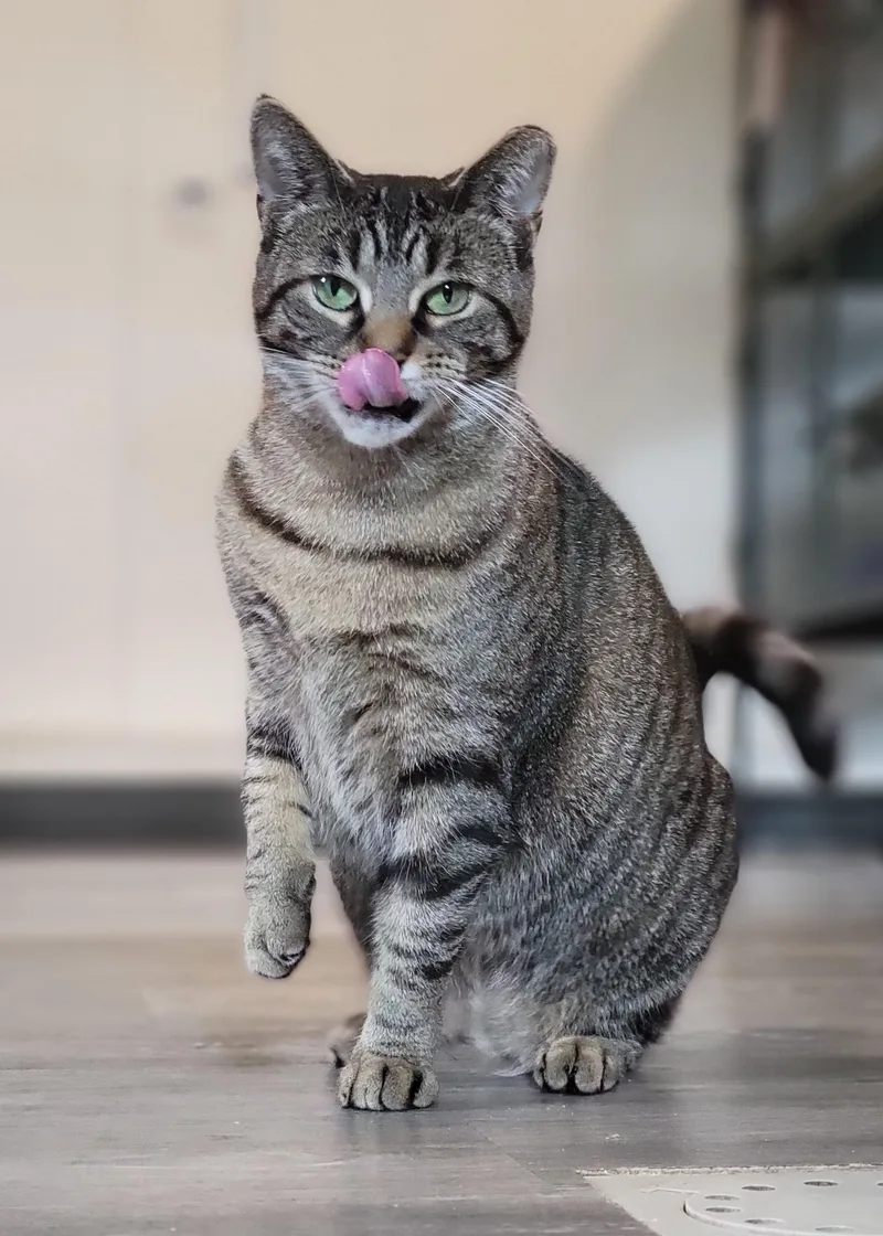 Zilwaukee thumbnail 3