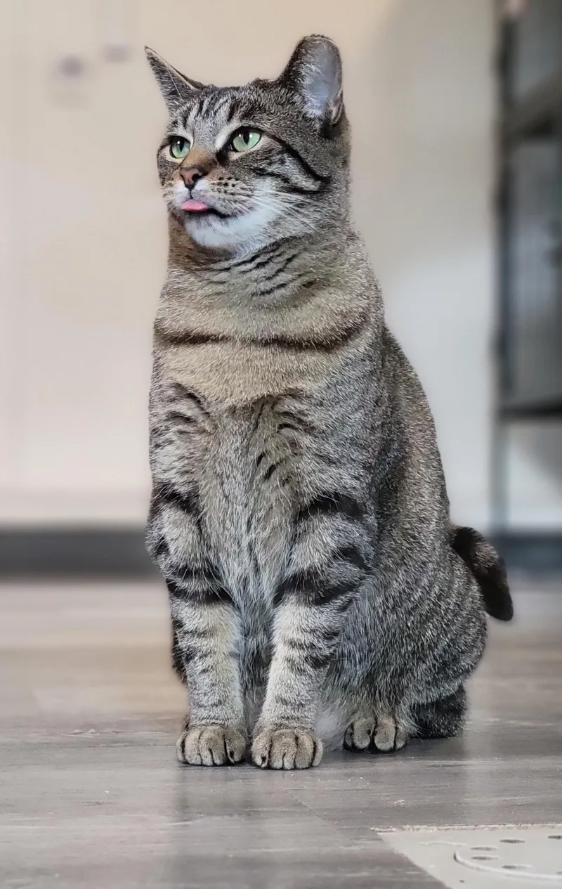 Zilwaukee thumbnail 4