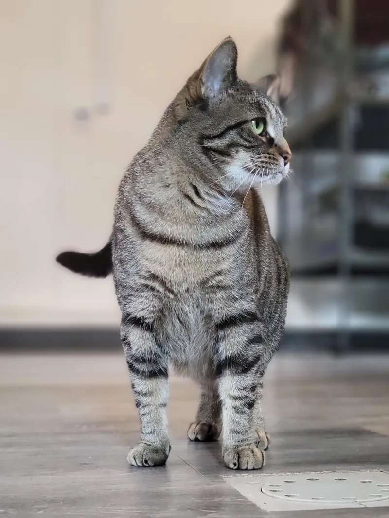 Zilwaukee thumbnail 5