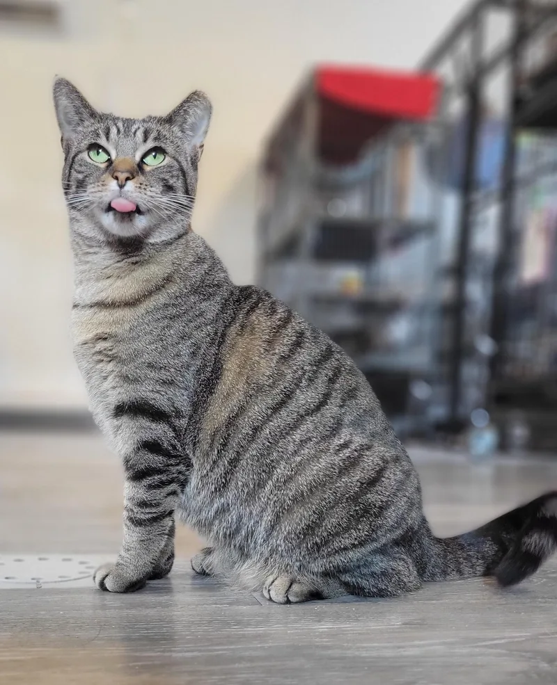 Zilwaukee thumbnail 6