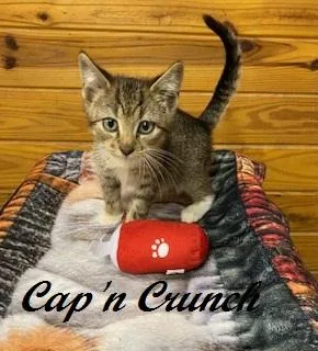 Cap'n Crunch thumbnail 4