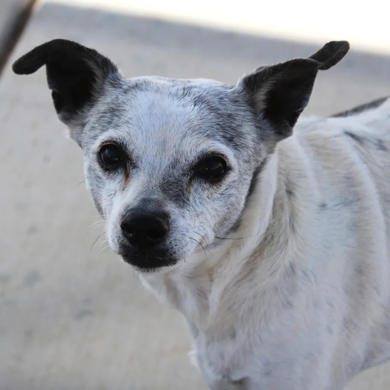 Sally thumbnail 3