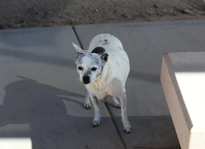 Sally thumbnail 6