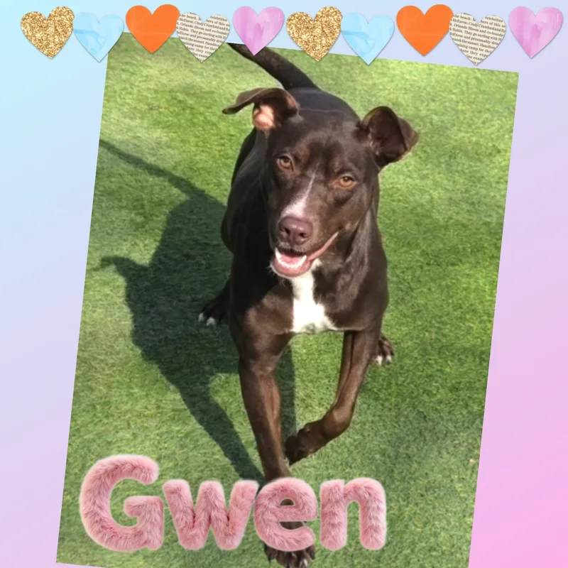 Gwen thumbnail 2