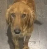 Sadie thumbnail 5