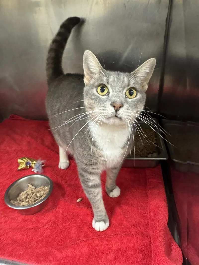 Riccardo thumbnail 2