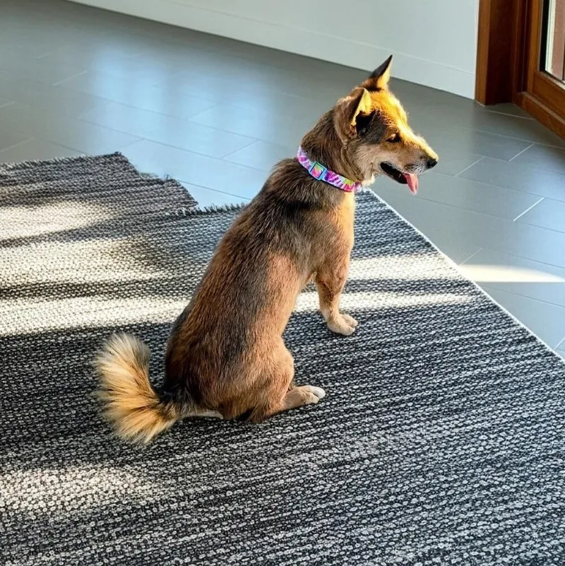 Ellie