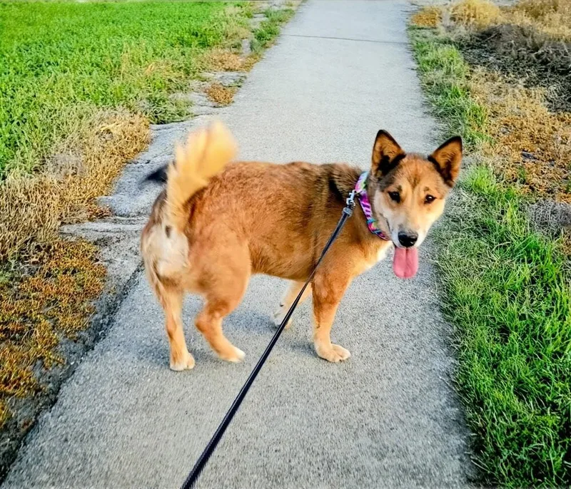 Ellie thumbnail 2