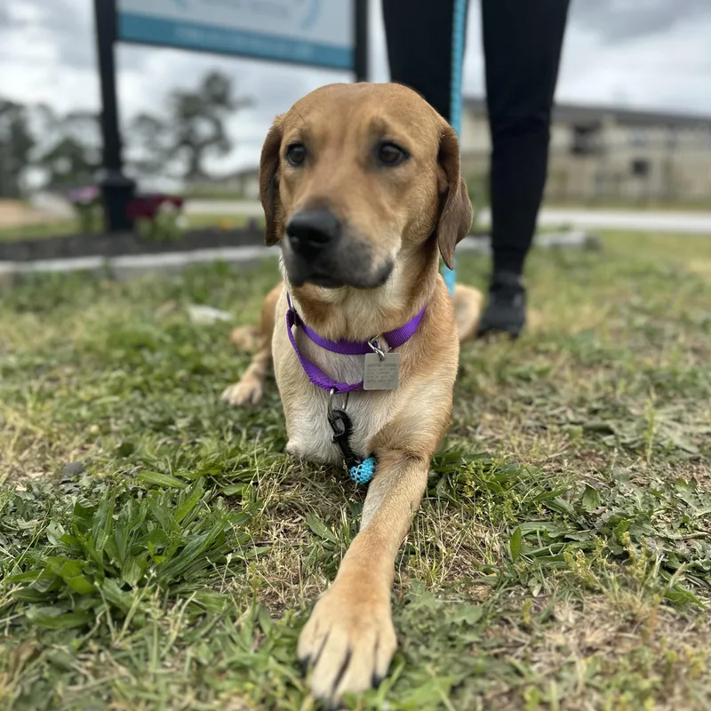 Flipflop thumbnail 2