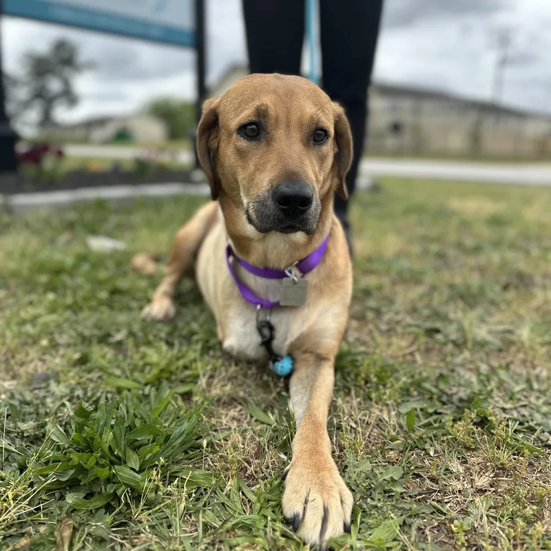 Flipflop thumbnail 5