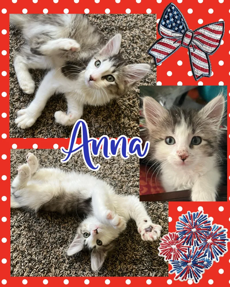 Anna thumbnail 3