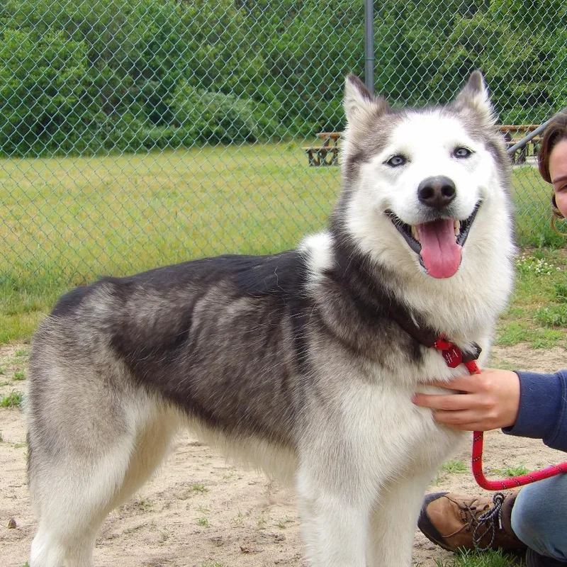 Alaska thumbnail 2