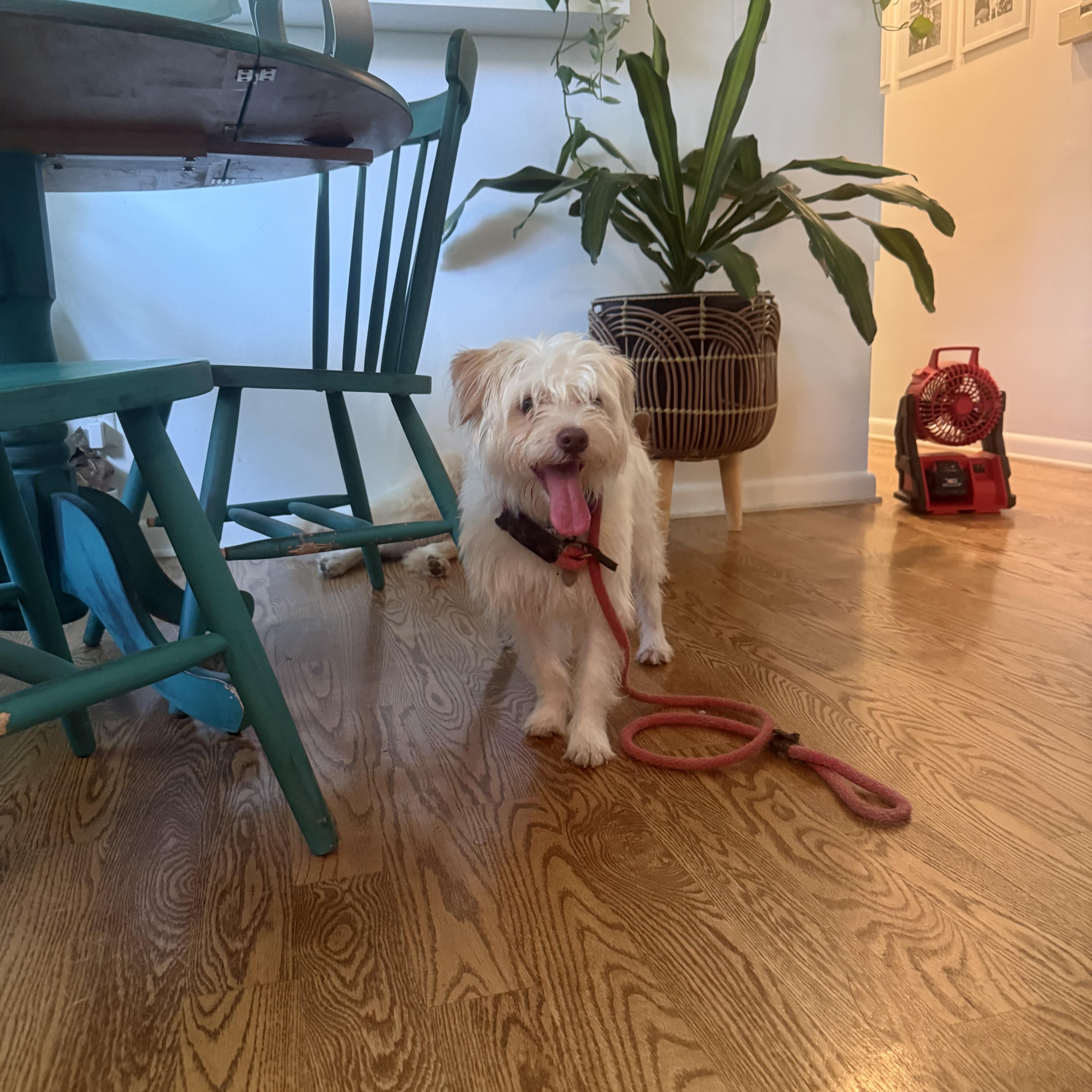 Max