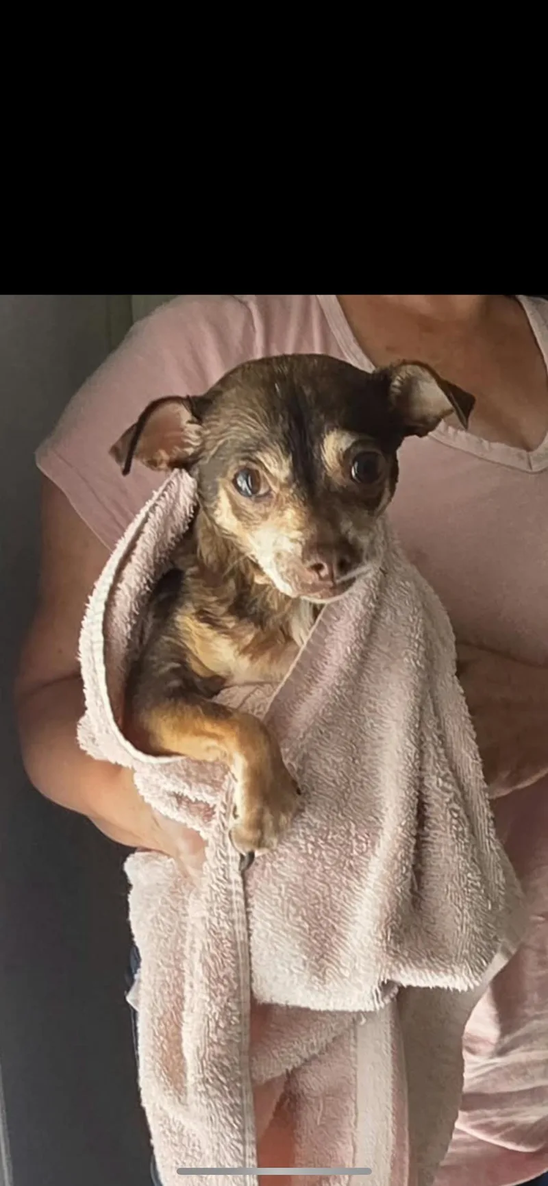 Lottie thumbnail 3