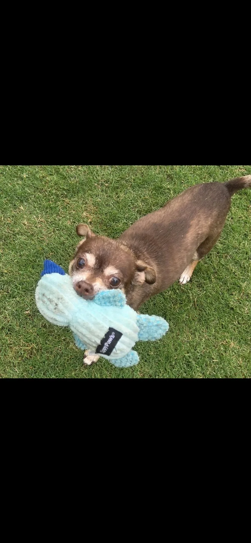 Lottie thumbnail 5