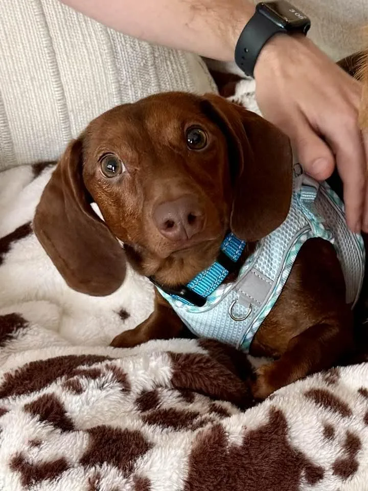 Franklin