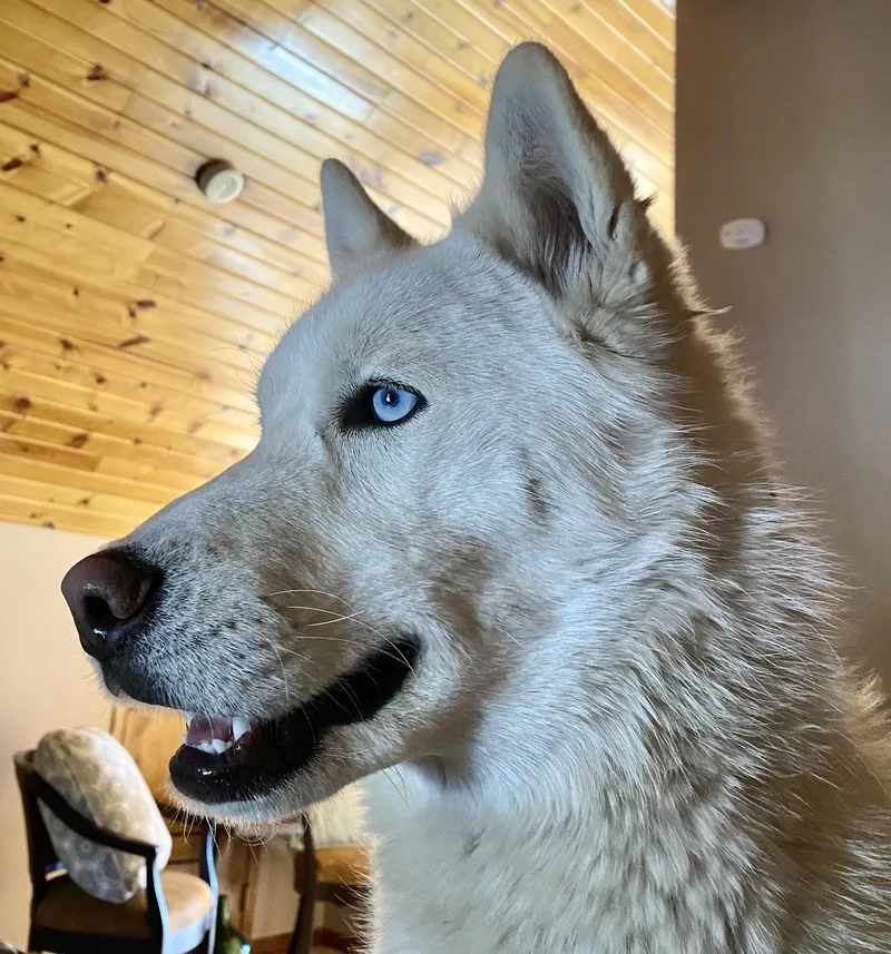 Walter White thumbnail 3