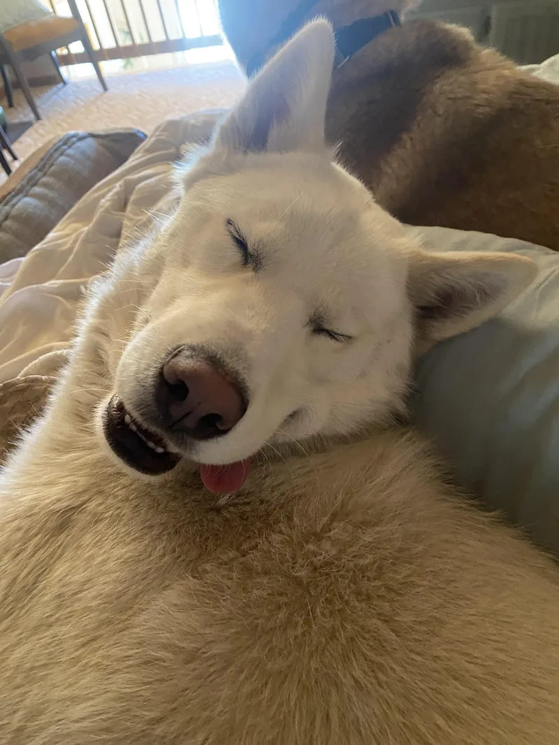 Walter White thumbnail 4