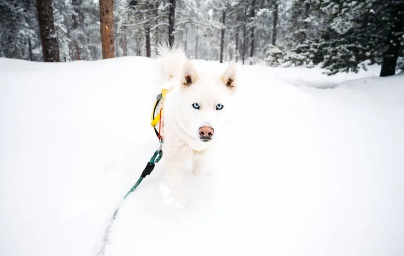 Walter White thumbnail 5