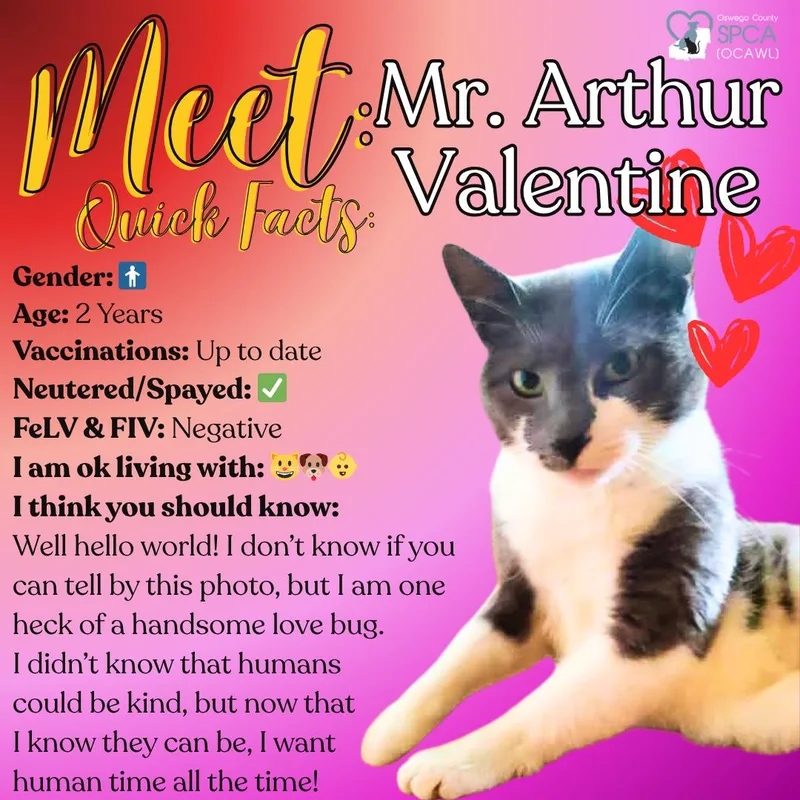 Mr. Arthur Valentine thumbnail 4