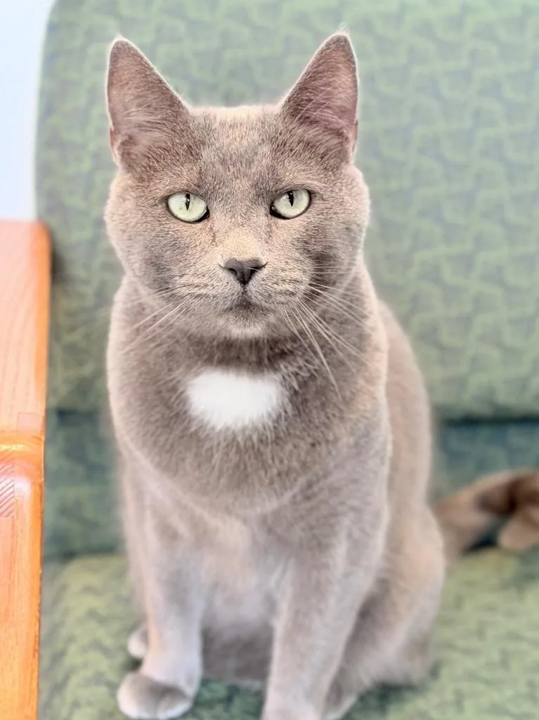 Crabapple thumbnail 3