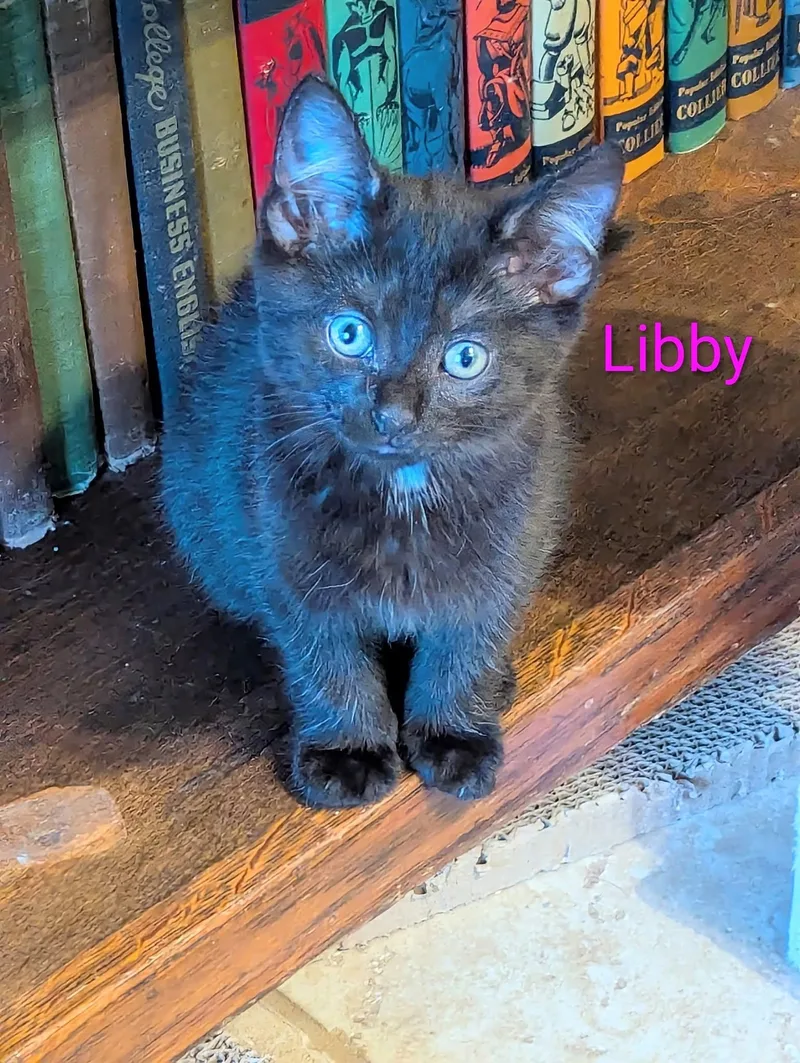 Libby thumbnail 2