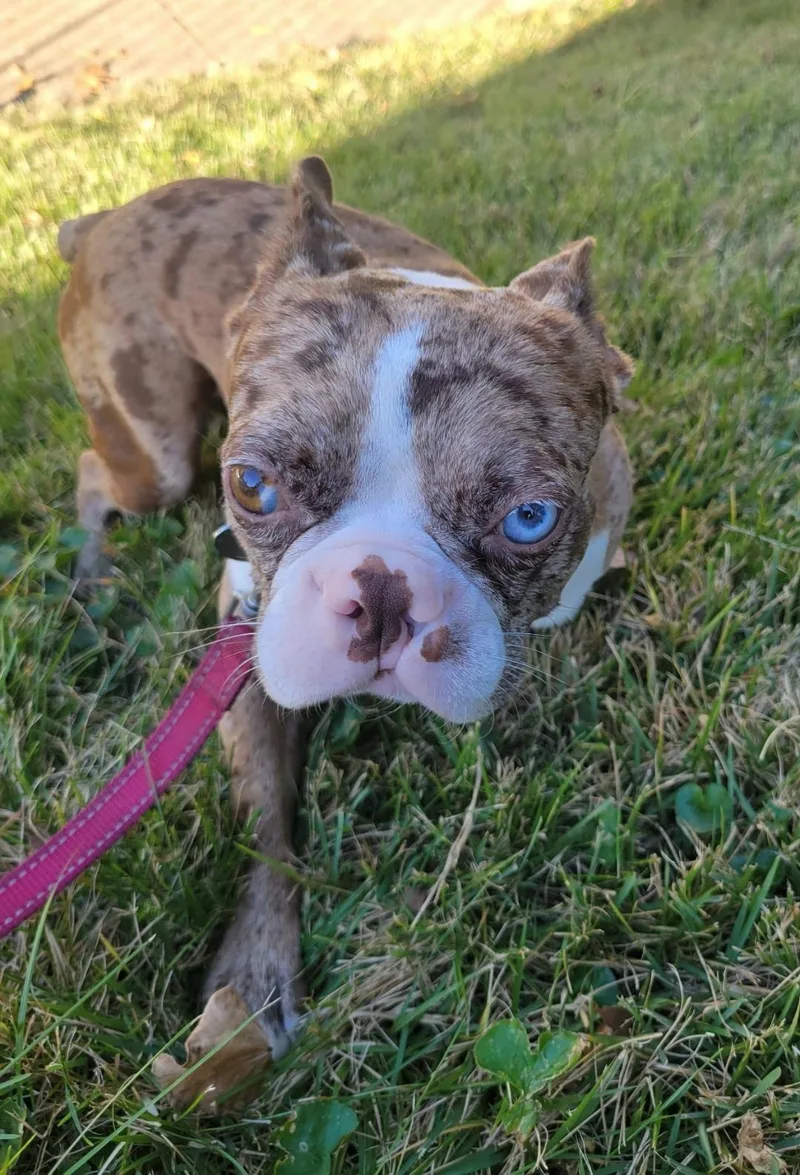 Colby in MO thumbnail 2