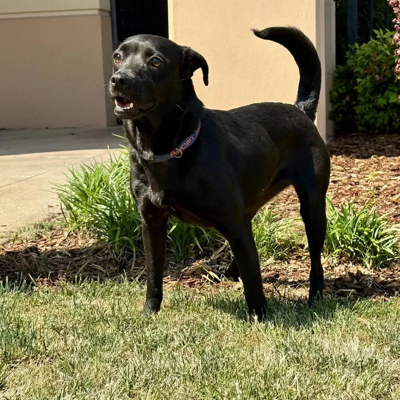 Clarissa thumbnail 2