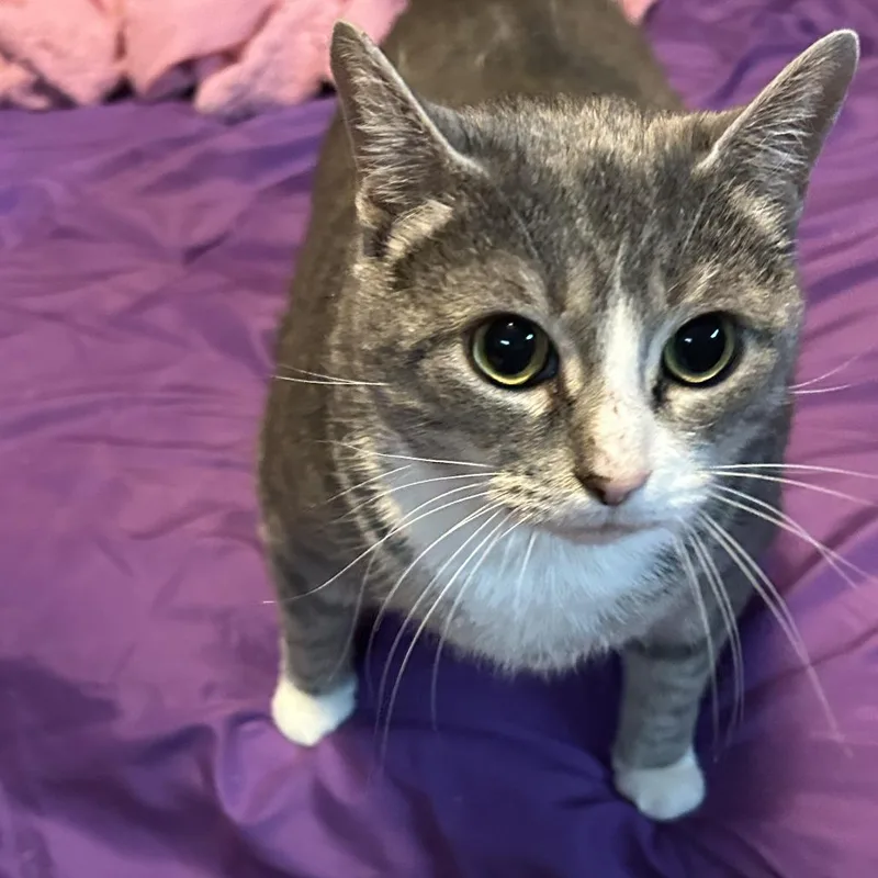 Haliey  Home To thumbnail 4