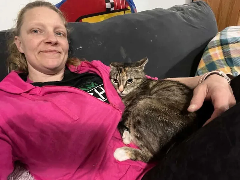 An adult medium-sized female Tabby (Brown / Chocolate) Domestic Short Hair cat named Erin for adoption in Cleveland, OH