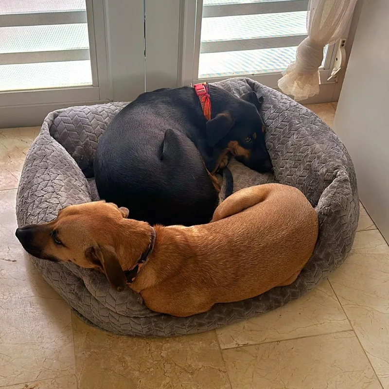 Mario Bonded With Brother thumbnail 4