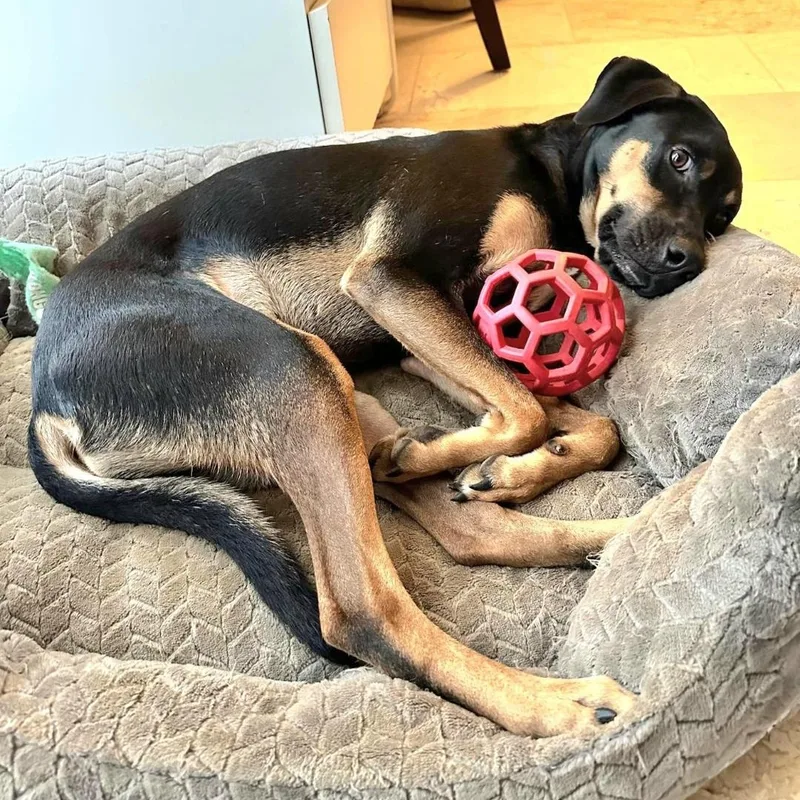 Mario Bonded With Brother thumbnail 6