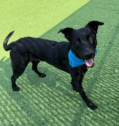 Theo thumbnail 4