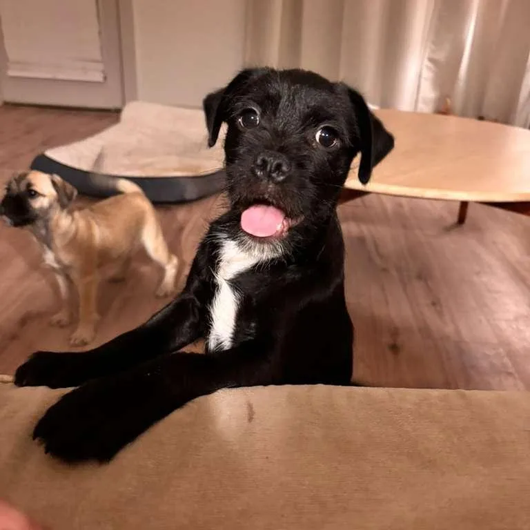 Dr. Robby thumbnail 2