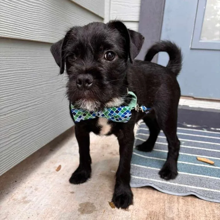 Dr. Robby thumbnail 3