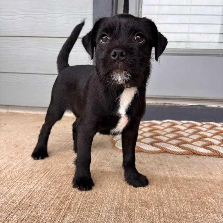 Dr. Robby thumbnail 4