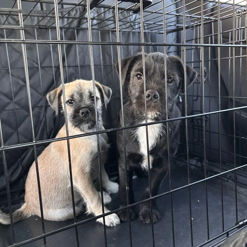 Dr. Robby thumbnail 5