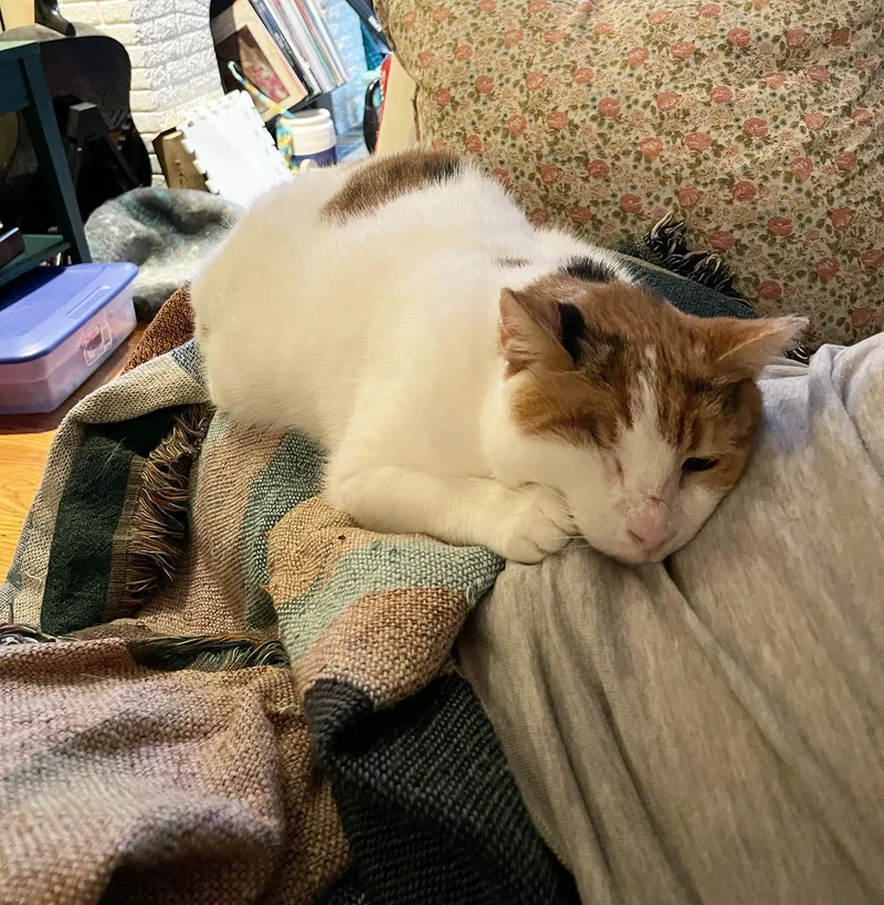 Rosie Mountain thumbnail 2