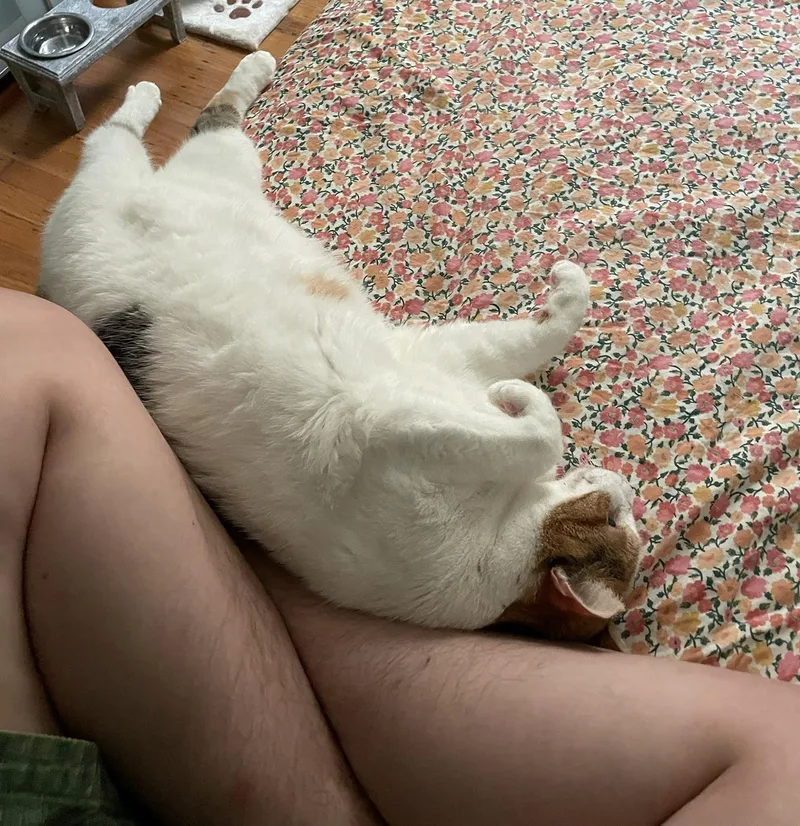 Rosie Mountain thumbnail 4