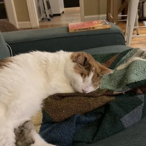 Rosie Mountain thumbnail 5