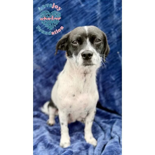 Molly Mae thumbnail 2