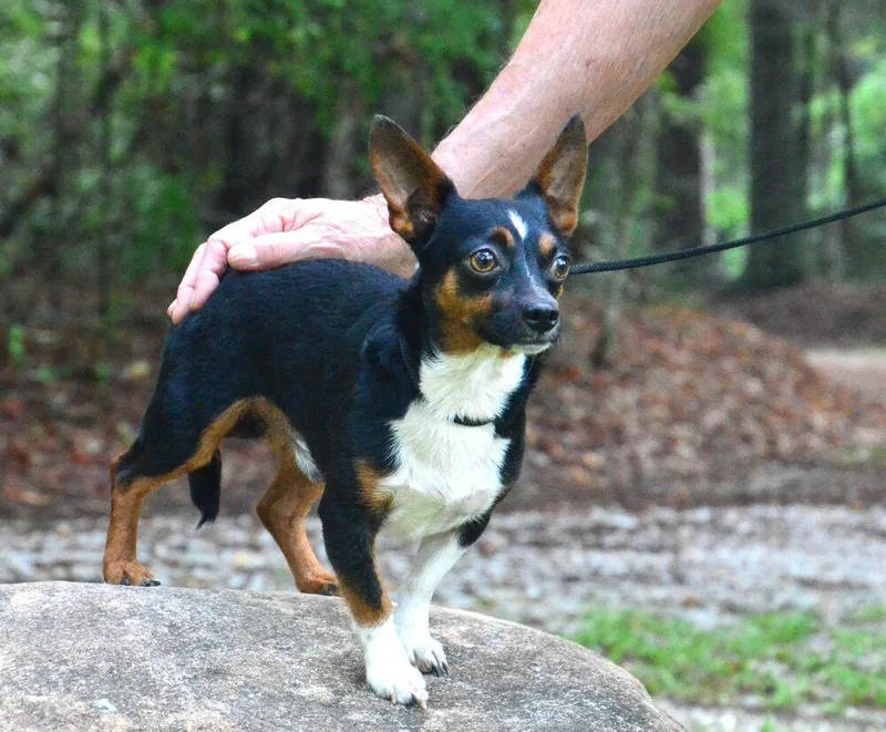 Charlie