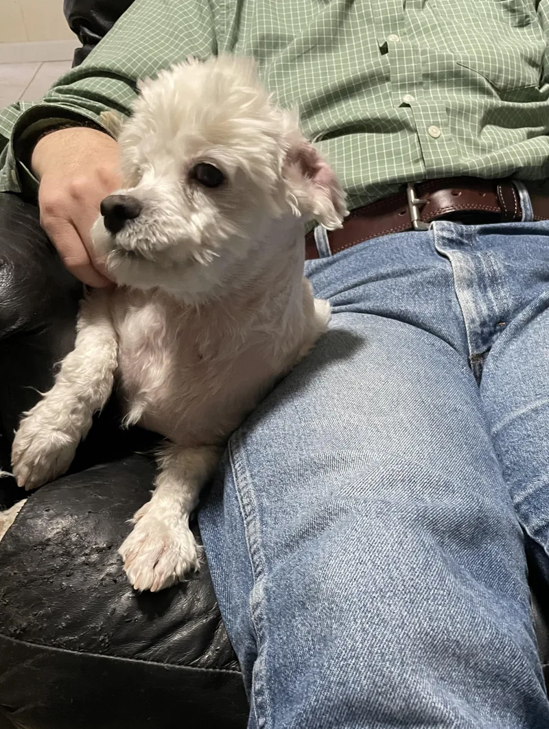 Lulana Orthw thumbnail 2