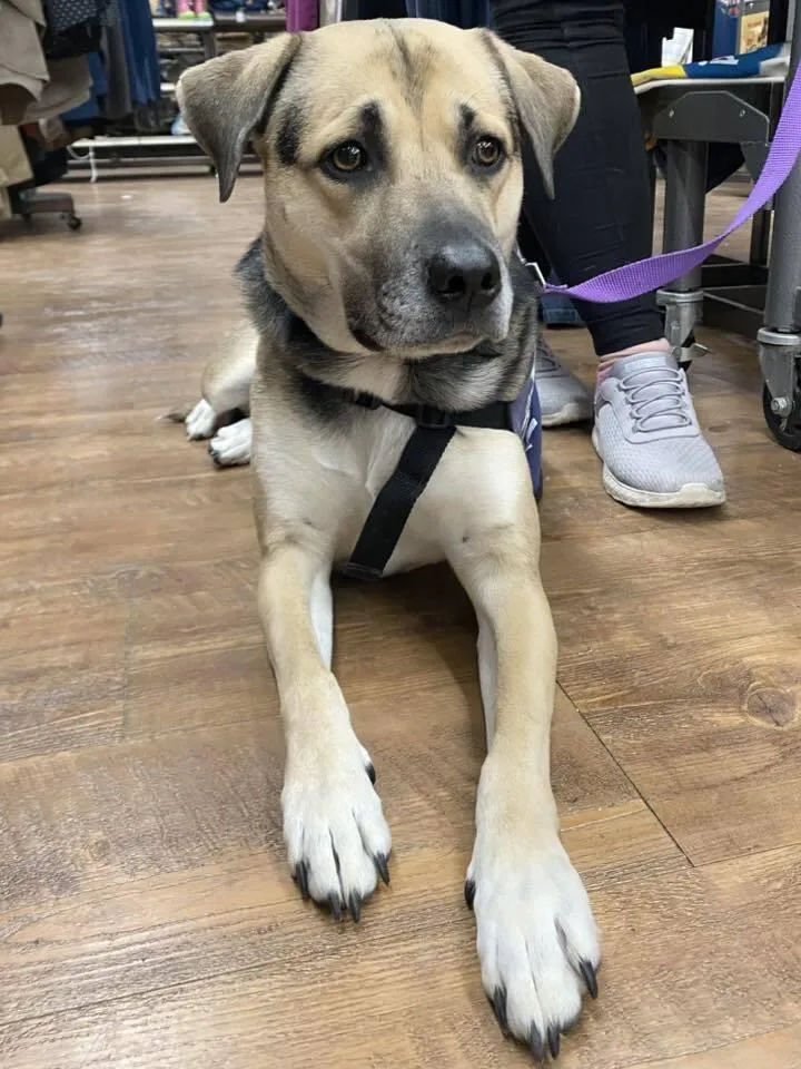 Stevie Nicole thumbnail 2