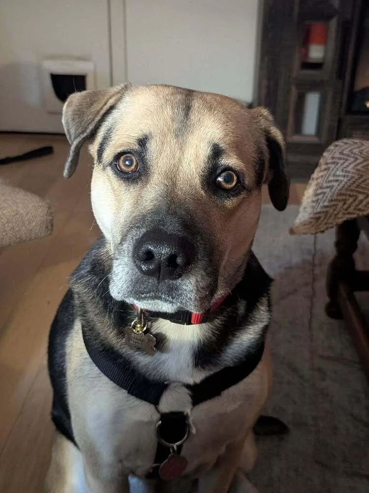 Stevie Nicole thumbnail 5