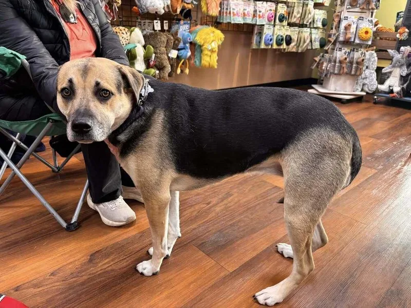 Stevie Nicole thumbnail 6