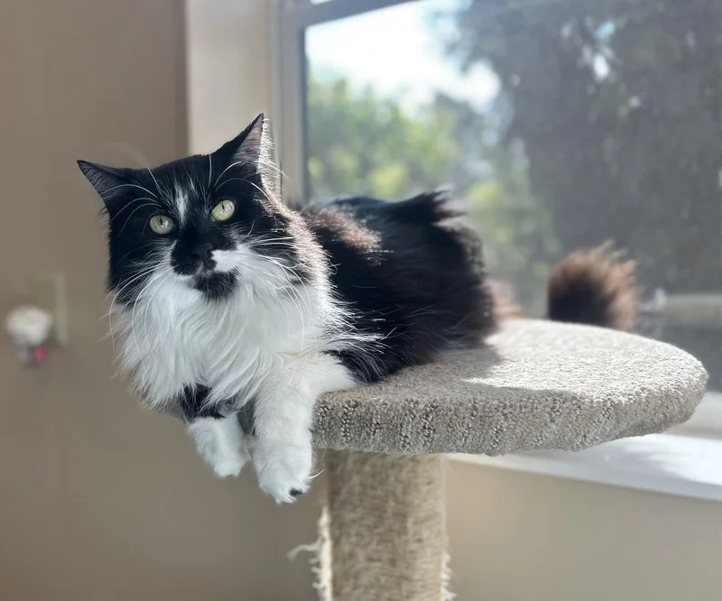 Cheyanne thumbnail 2