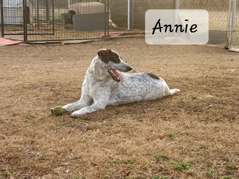 Annie thumbnail 2