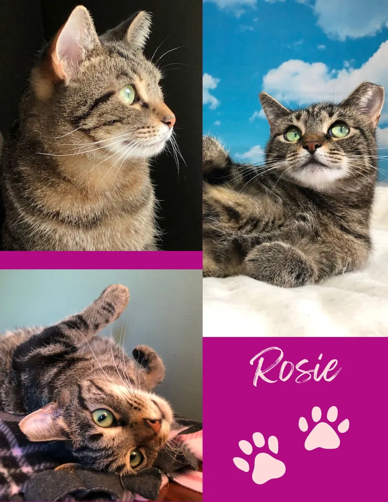 Sam & Rosie thumbnail 2