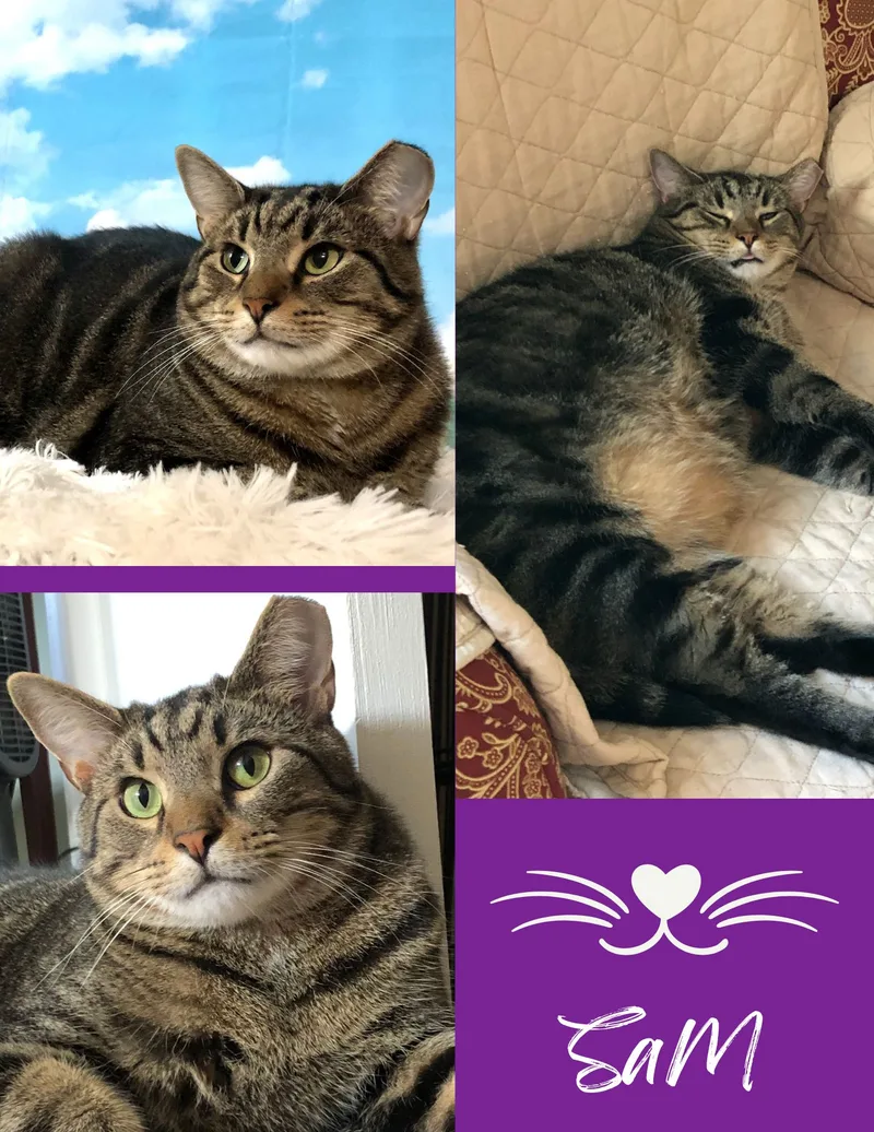 Sam & Rosie thumbnail 3